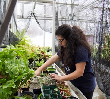 Student in Greenhouse