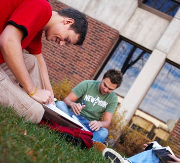 students studying outside in grass