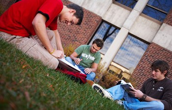 students studying outside in grass