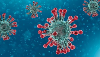 Corona Virus