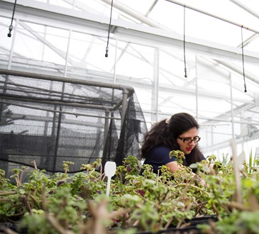 Student in Greenhouse