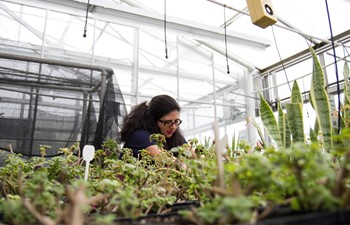 Student in Greenhouse
