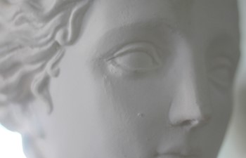 bust