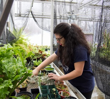 Student in Greenhouse