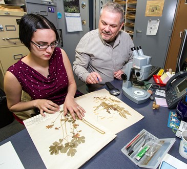 people in herbarium