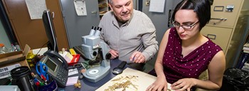 people in herbarium