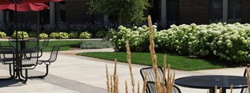courtyard plaza