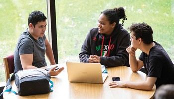 students studying on campus